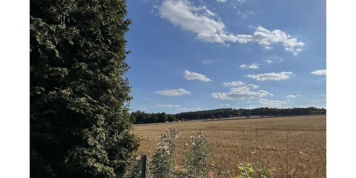 Blick zum Wohldenberg