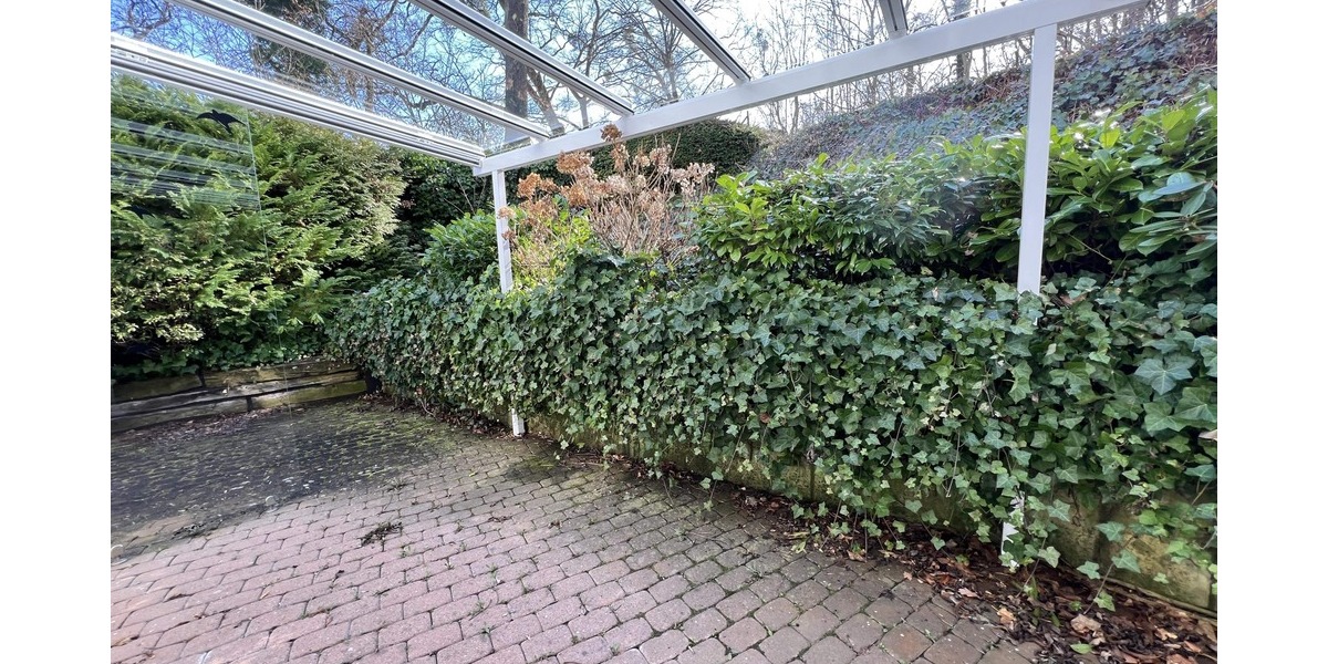 Ihr “Platz an der Sonne”