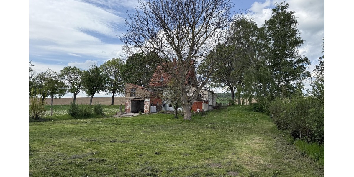 Garten mit Blick auf das Haus